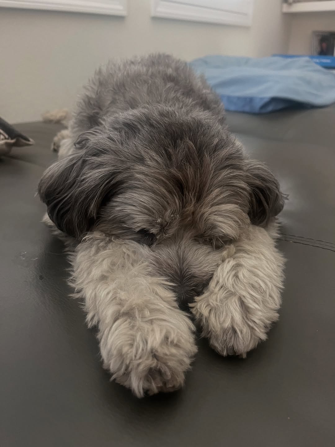 麦凯恩In, 贾里德